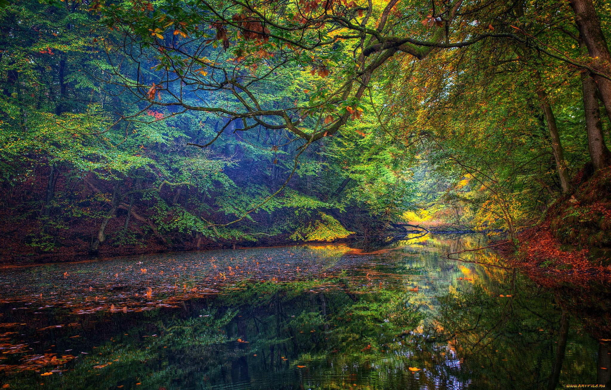 природа, реки, озера, простор