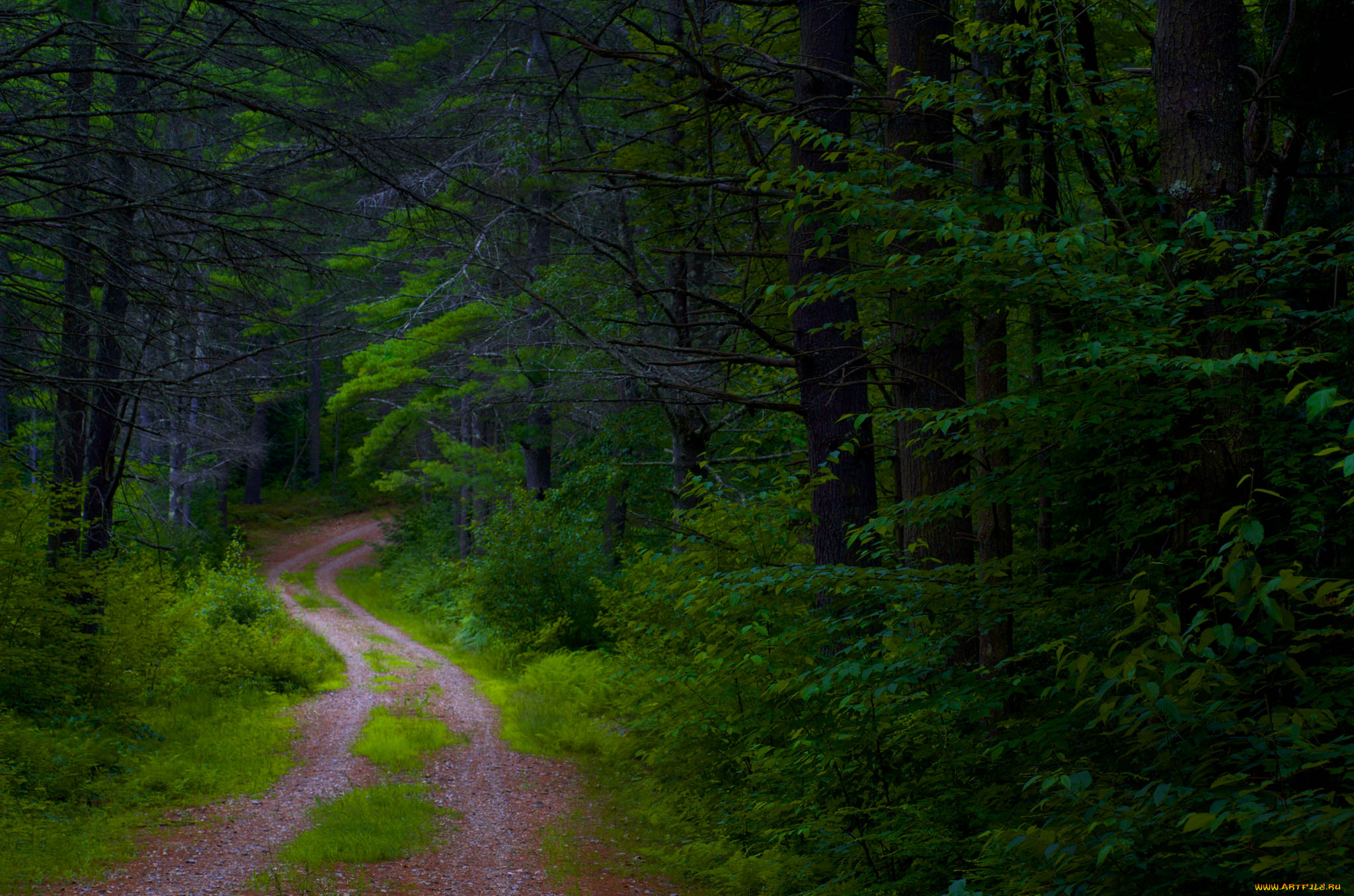 природа, дороги, простор