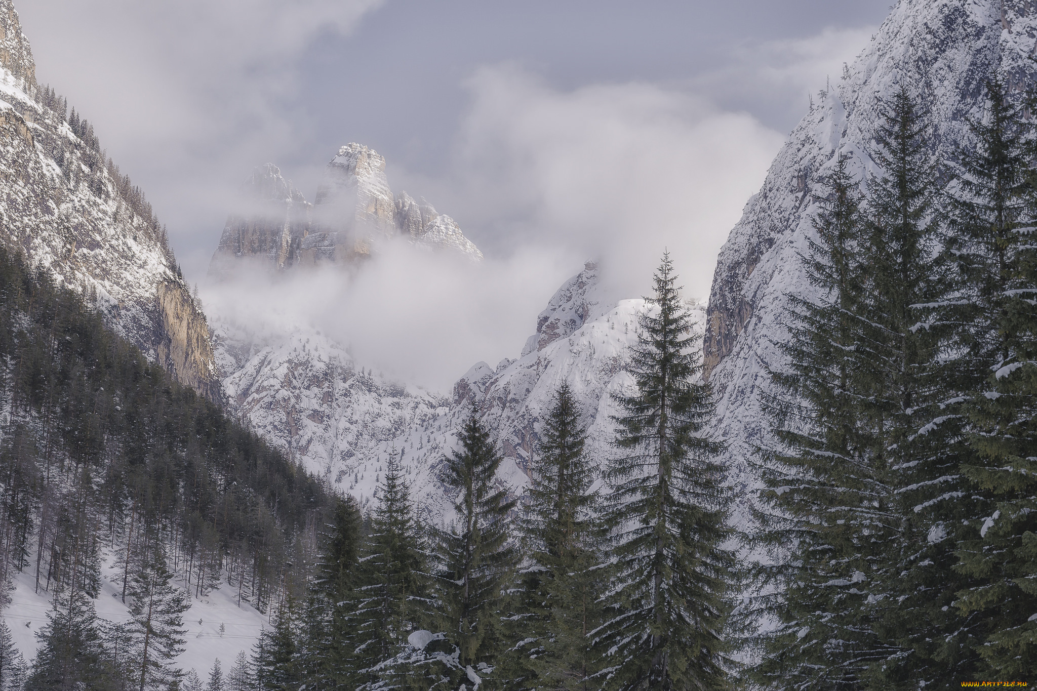 природа, горы, простор