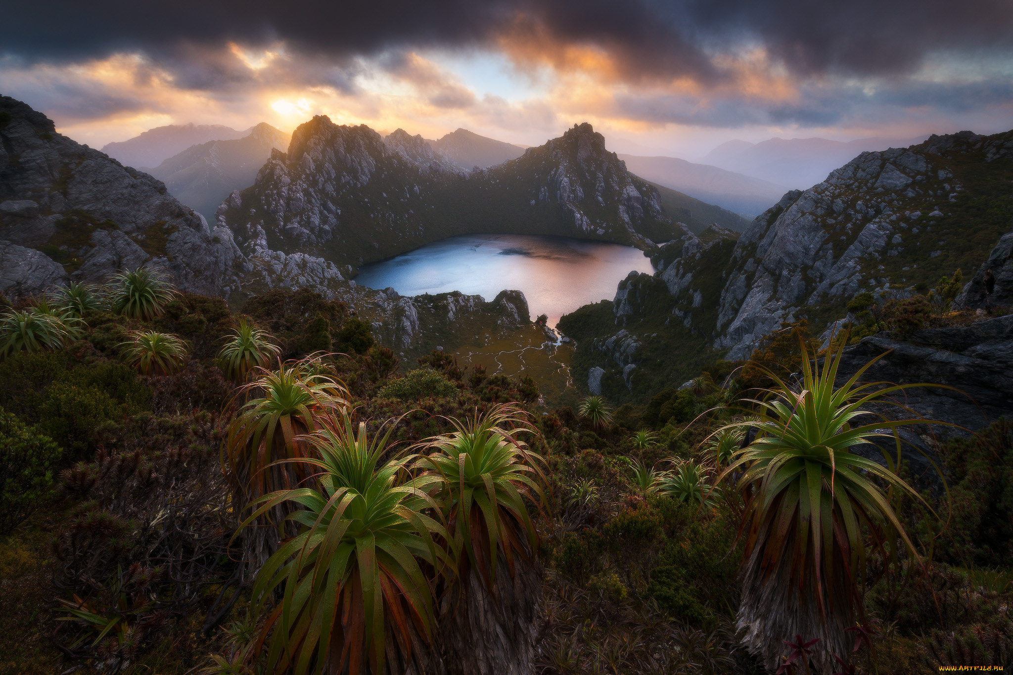 природа, тропики, простор