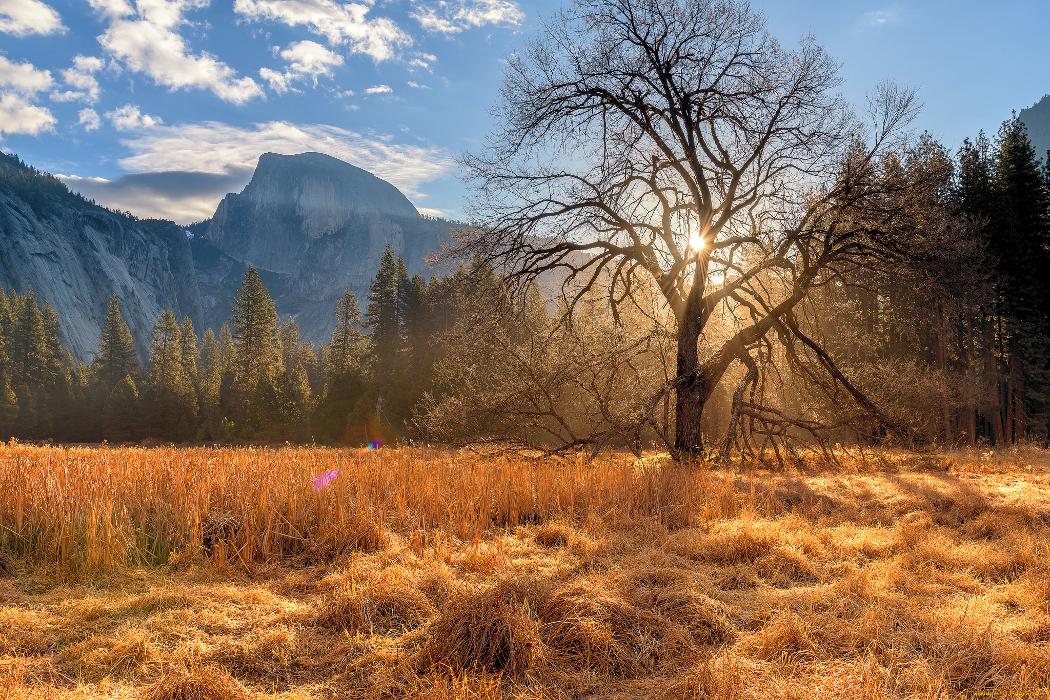 природа, пейзажи, простор