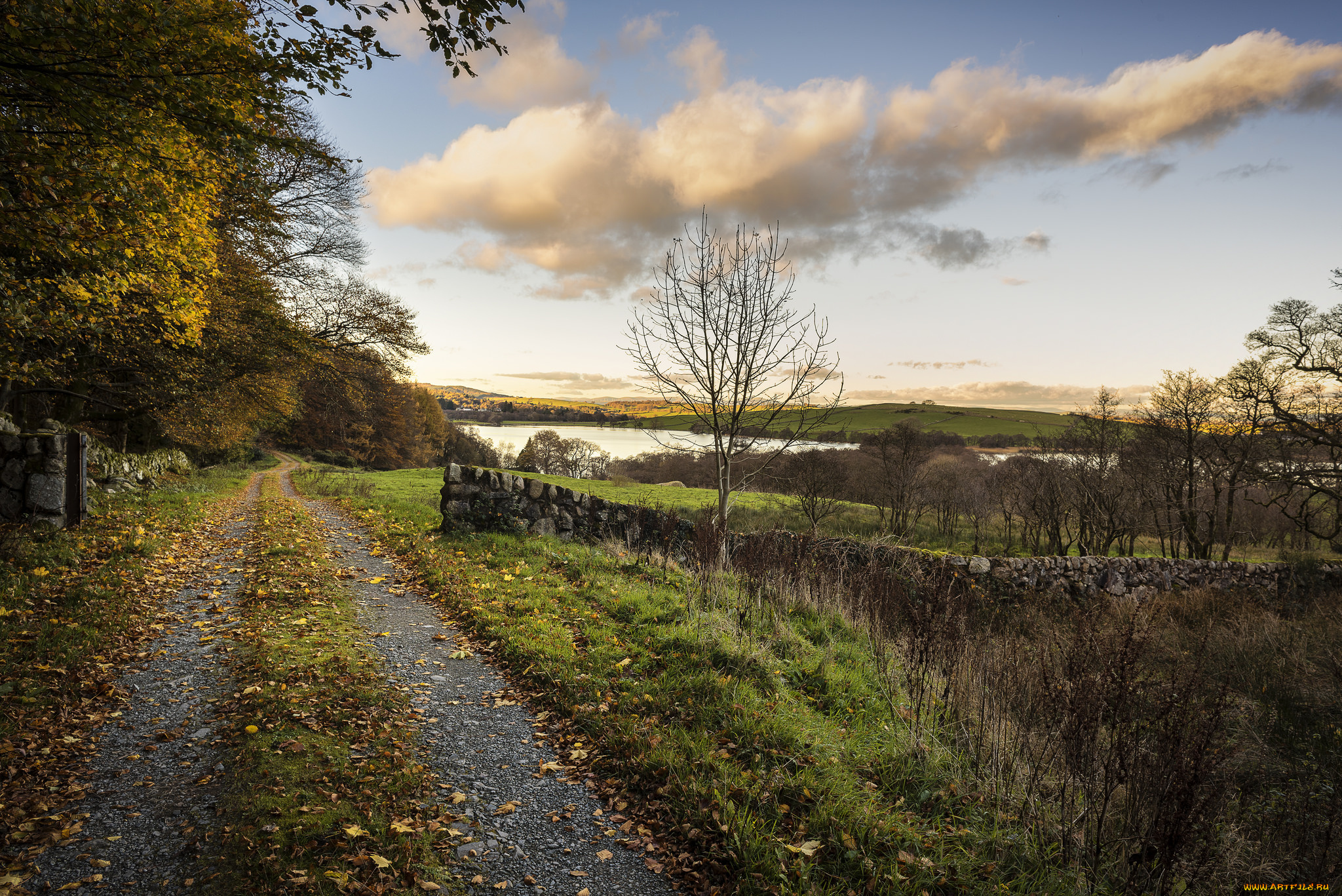 природа, дороги, простор