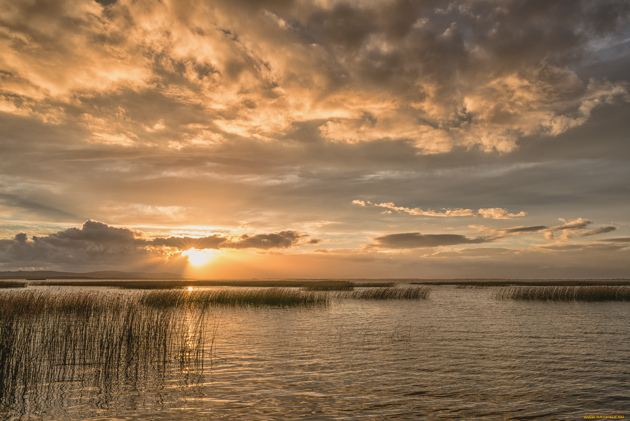 природа, реки, озера, простор