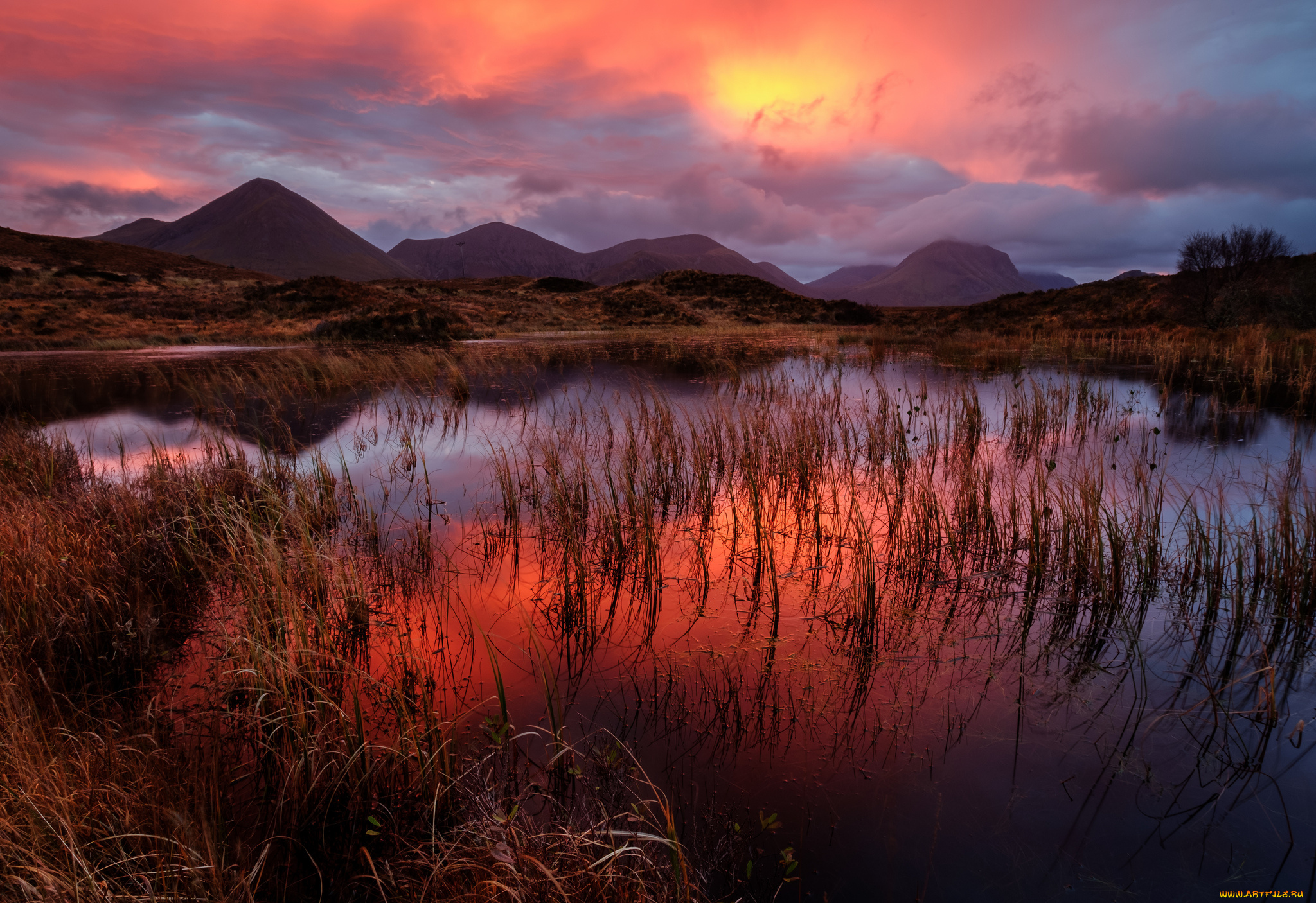 природа, реки, озера, простор