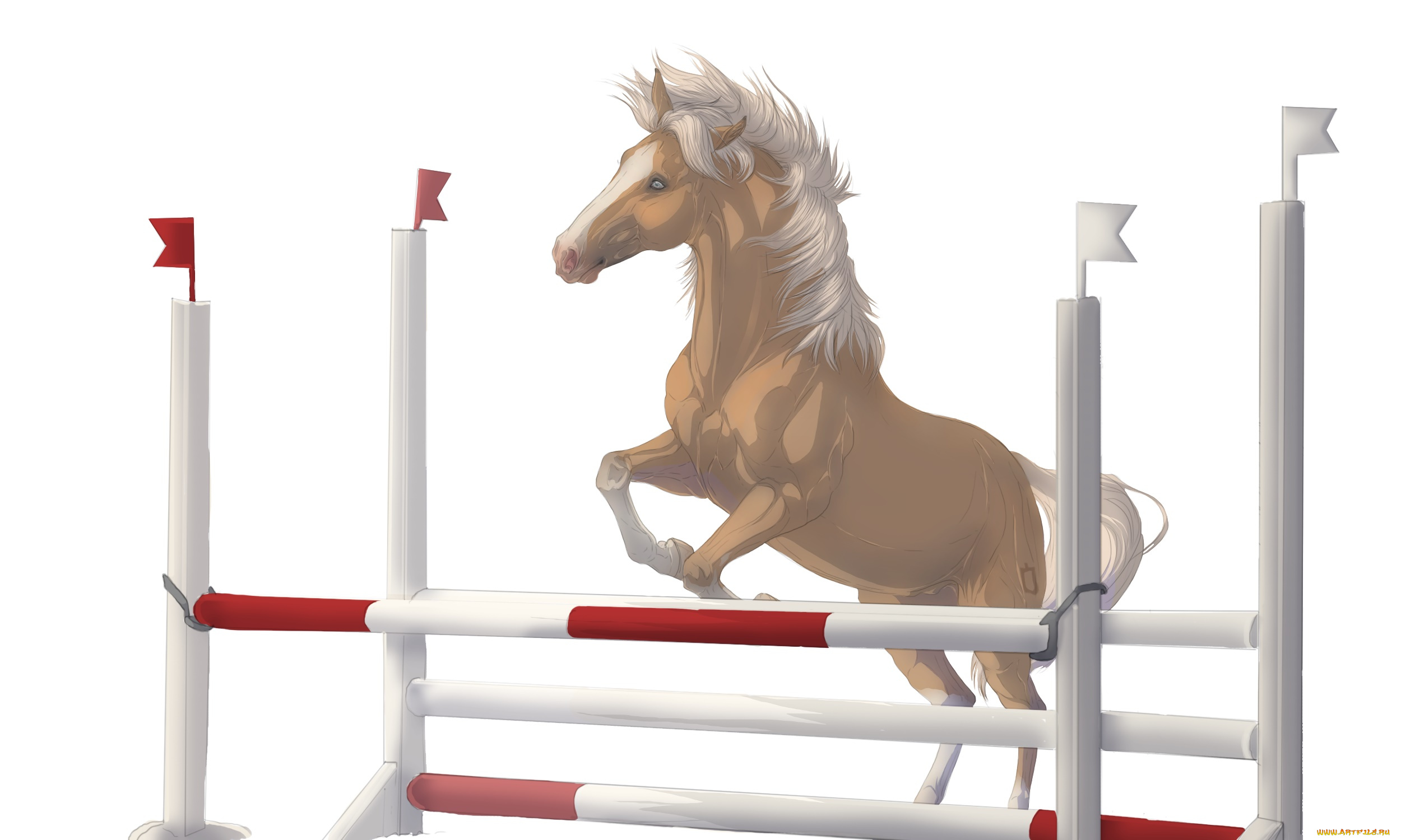 векторная, графика, животные, , animals, лошадь, фон