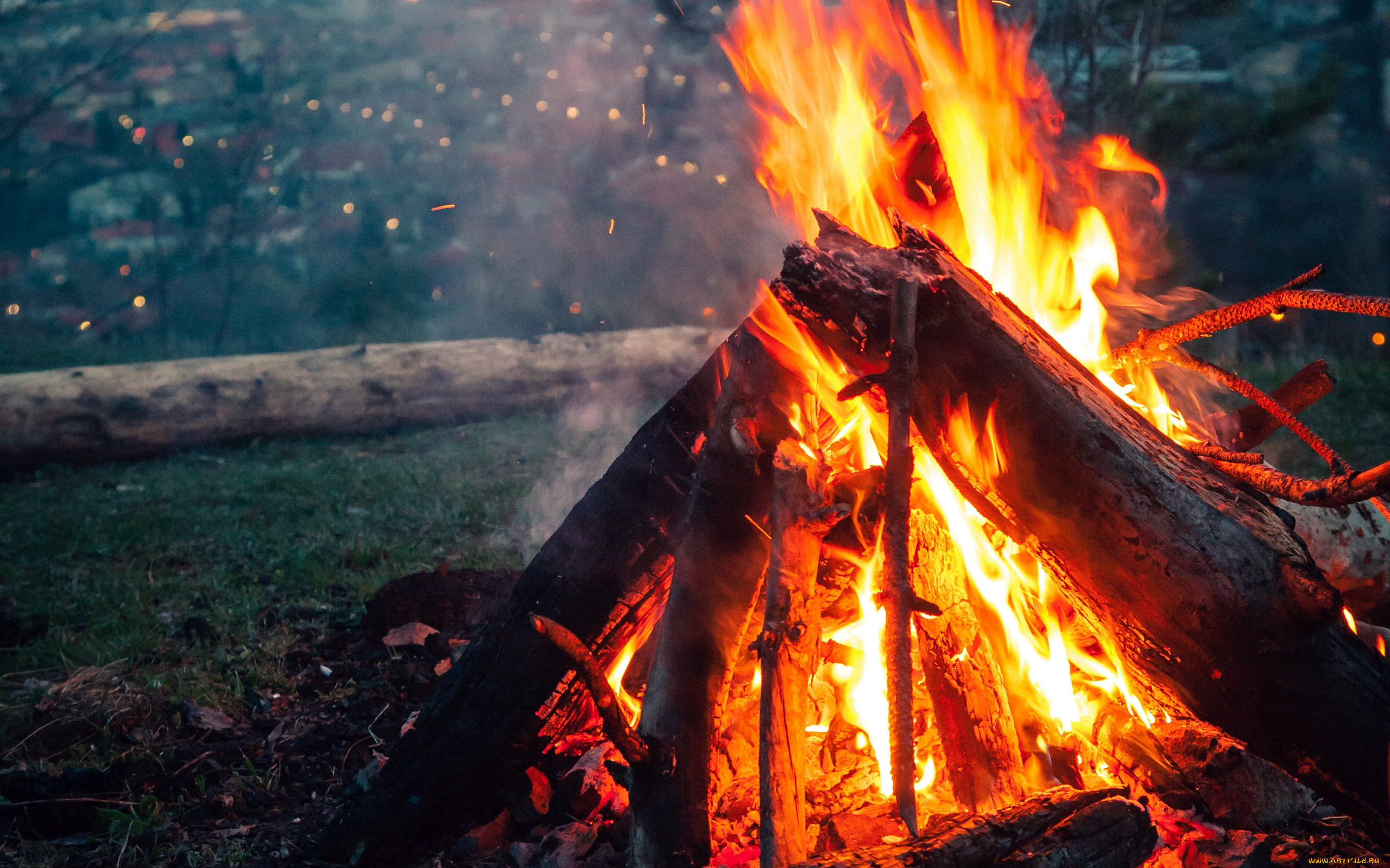 природа, огонь, пламя, костер