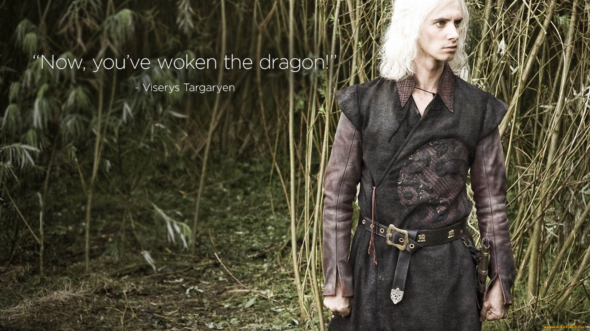 кино, фильмы, game, of, thrones, , сериал, камыши, таргариен, визерис