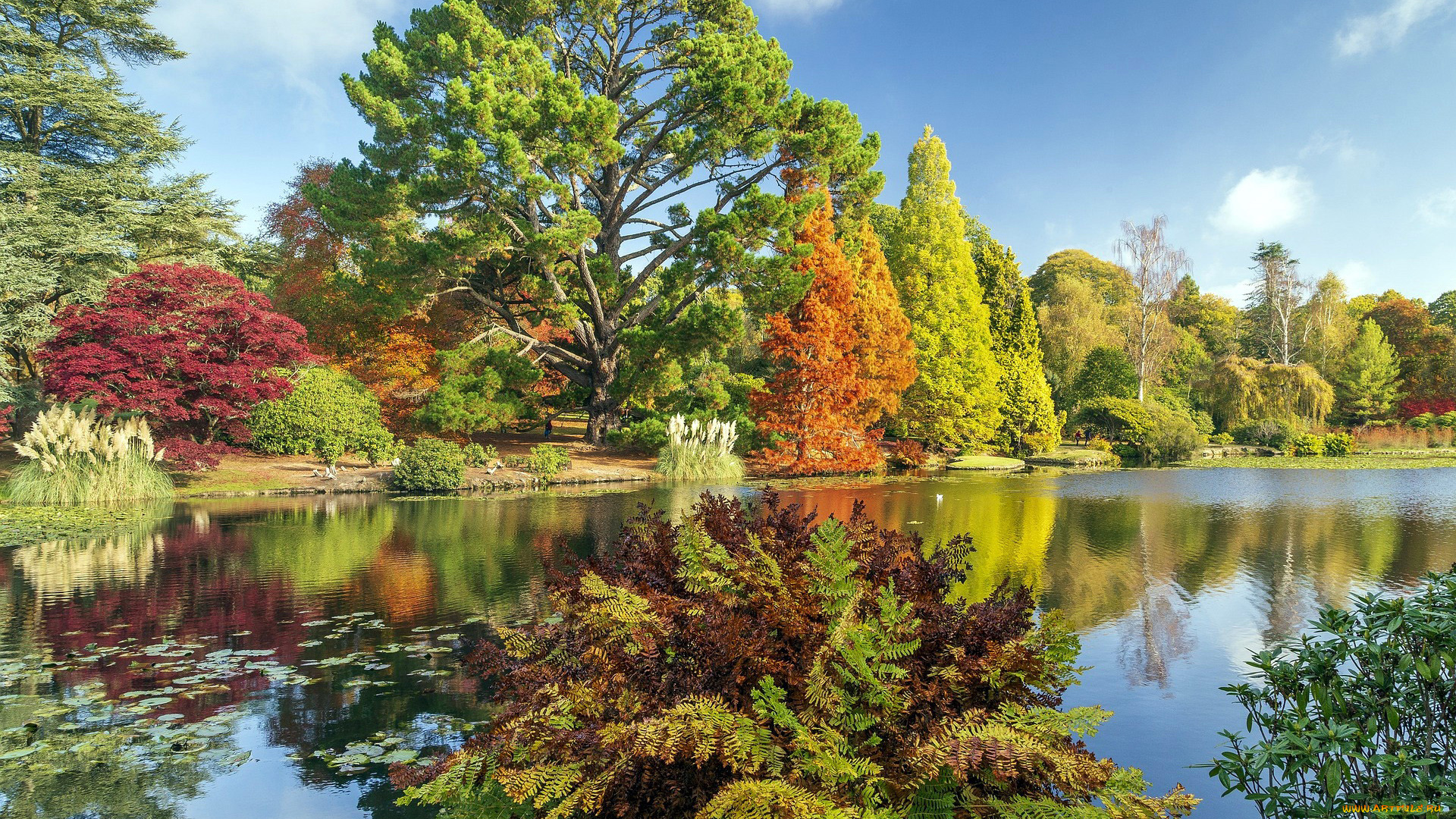 sheffield, south, yorkshire, england, природа, парк, south, yorkshire