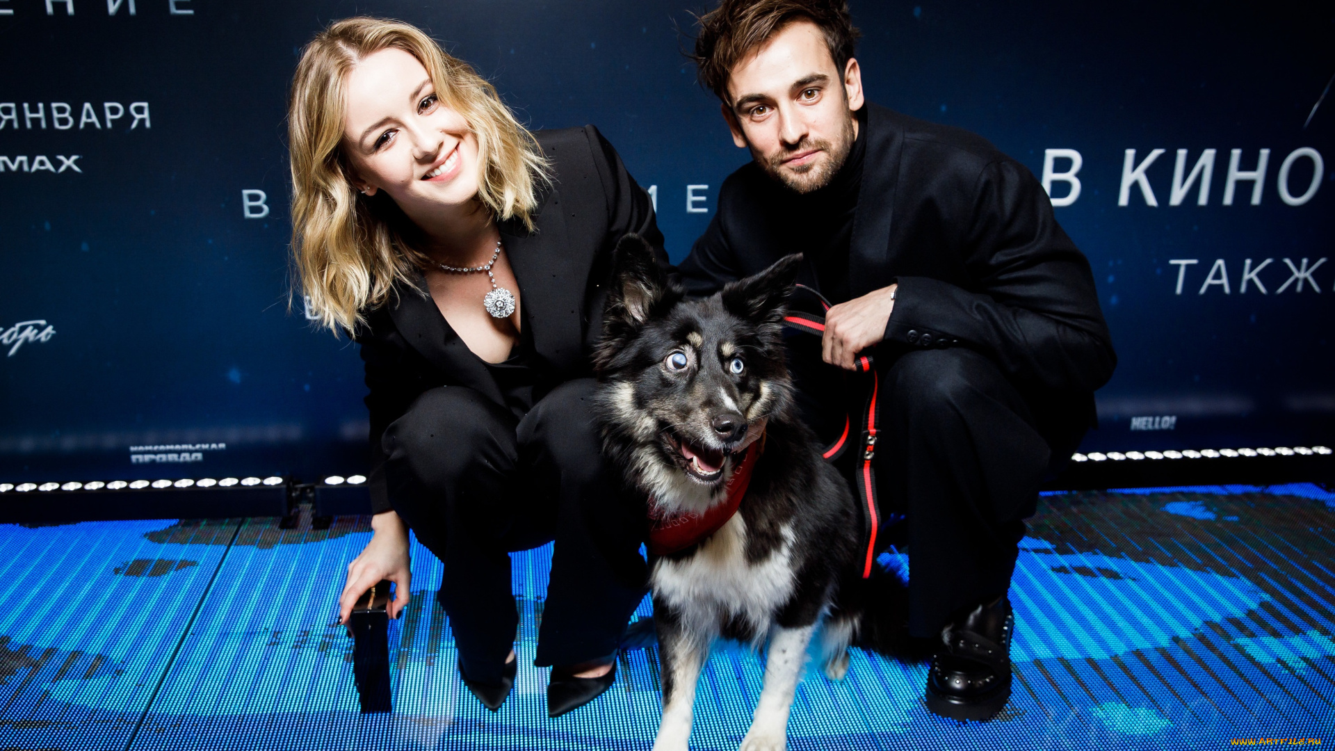вторжение, , 2019, разное, знаменитости, ирина, старшенбаум, риналь, мухаметов, собака, чара, вторжение, премьера, фотография, анна, темерина, wdsspr