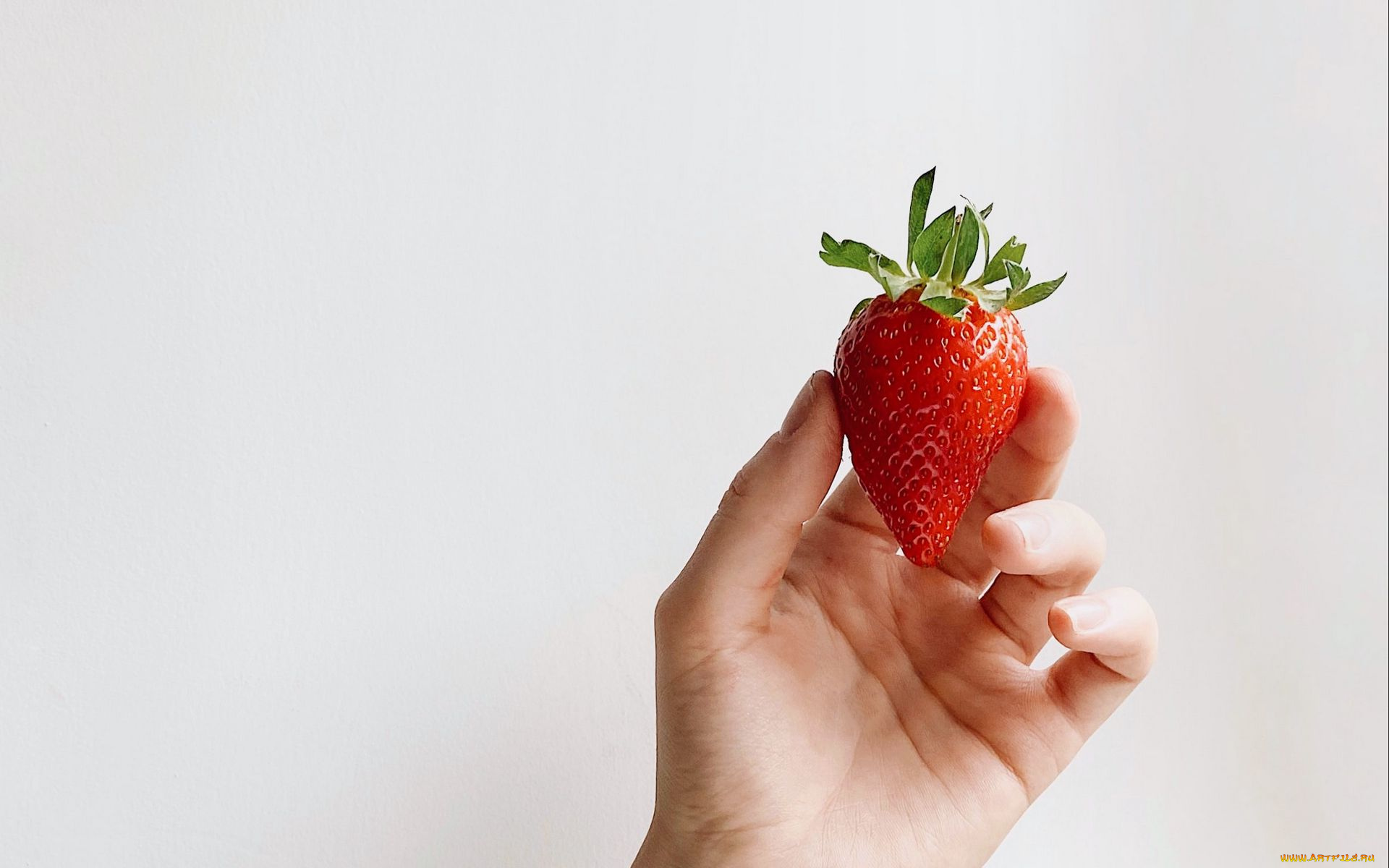 еда, клубника, , земляника