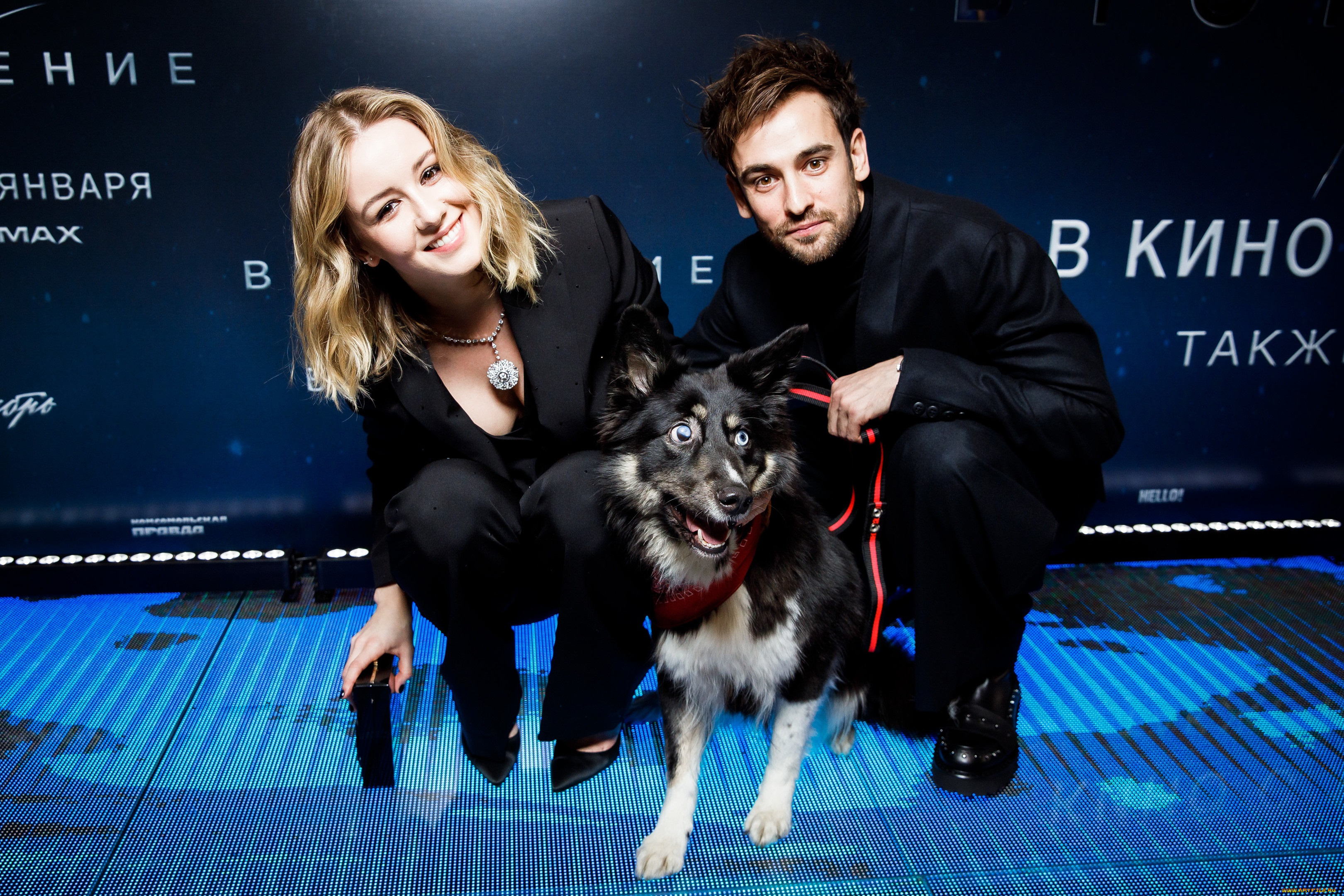 вторжение, , 2019, разное, знаменитости, ирина, старшенбаум, риналь, мухаметов, собака, чара, вторжение, премьера, фотография, анна, темерина, wdsspr
