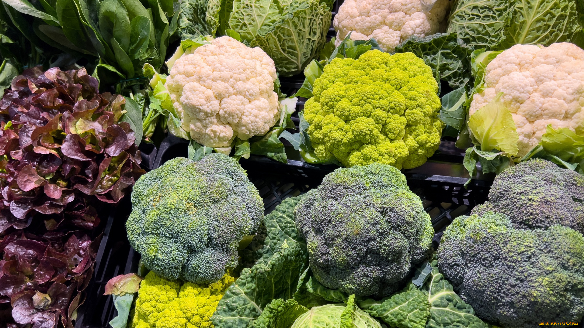 еда, капуста, и, её, разновидности, брокколи, капуста, цветная, савойская, ассорти