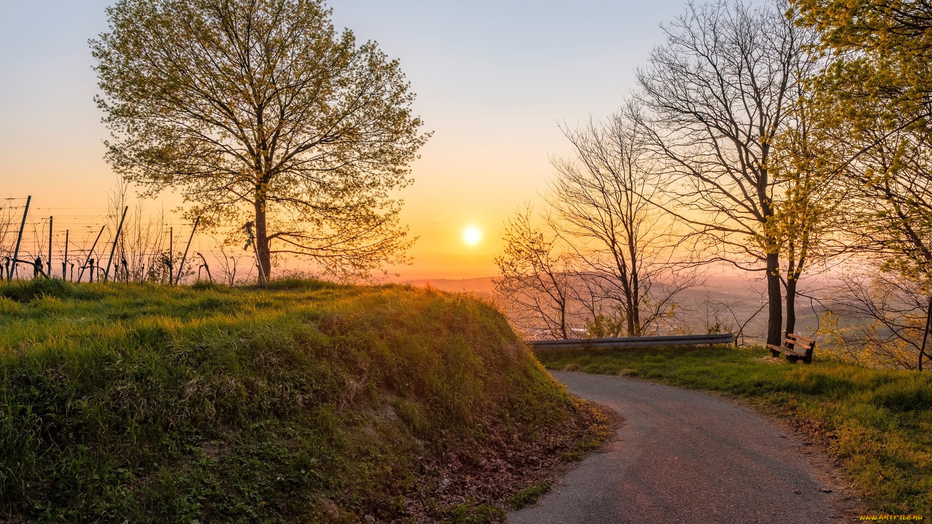 природа, дороги, закат, дорога, поворот
