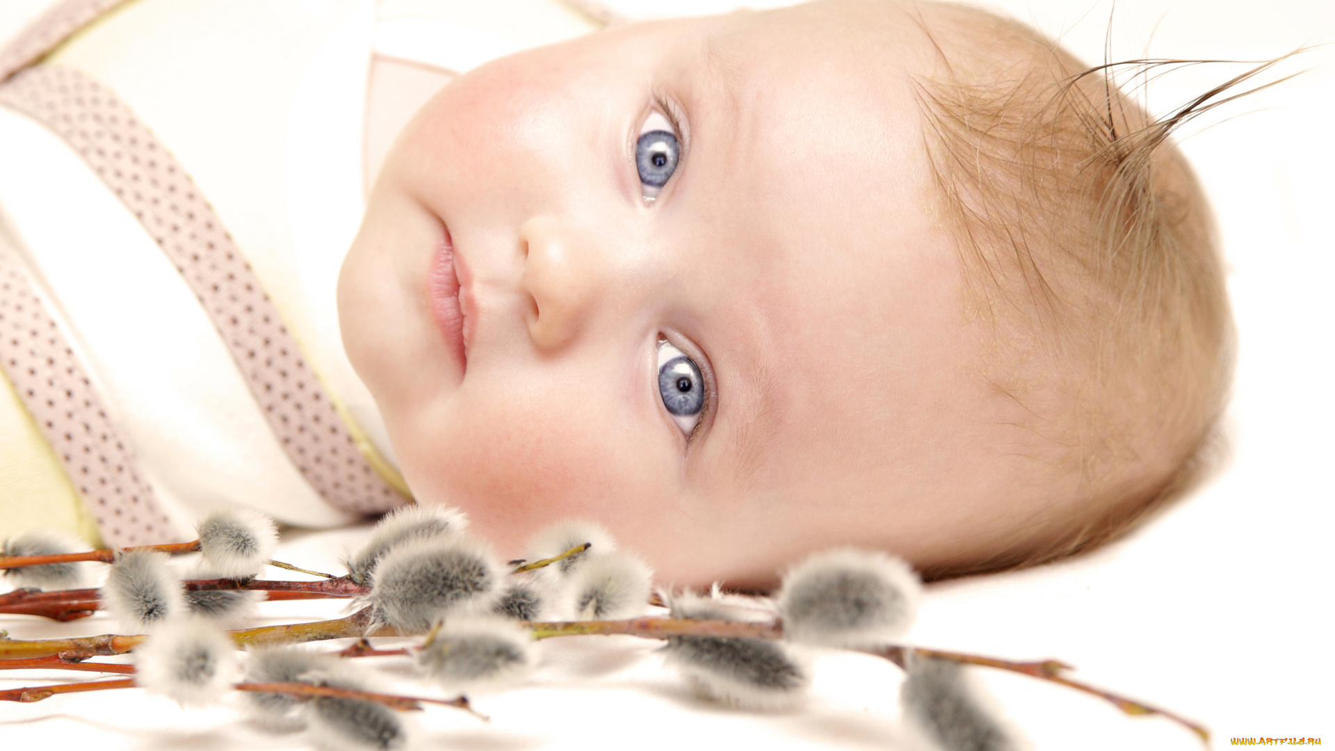 разное, дети, младенец, верба, ветки