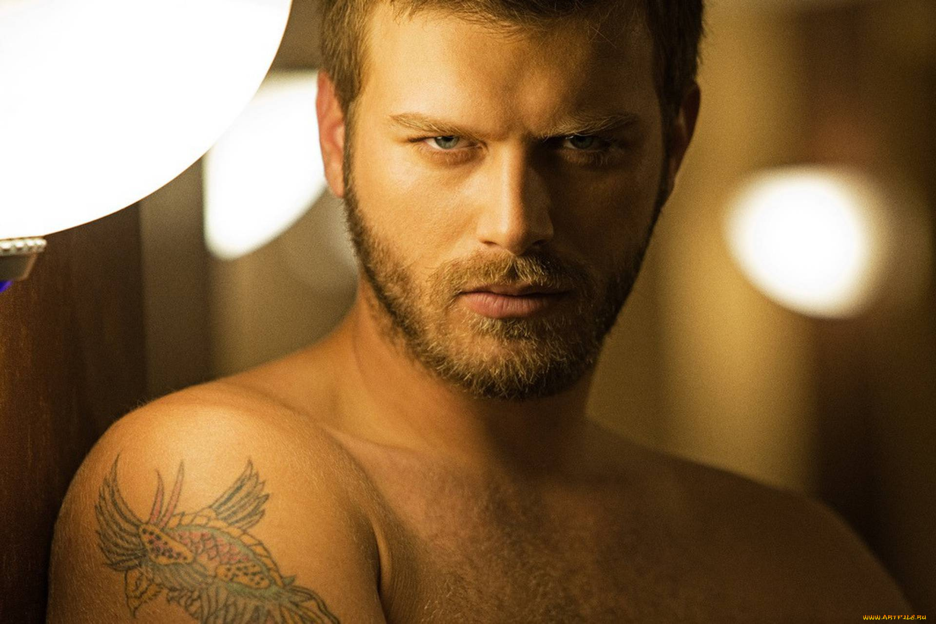 мужчины, kivanc, tatlitug, kivanc, tatlitug