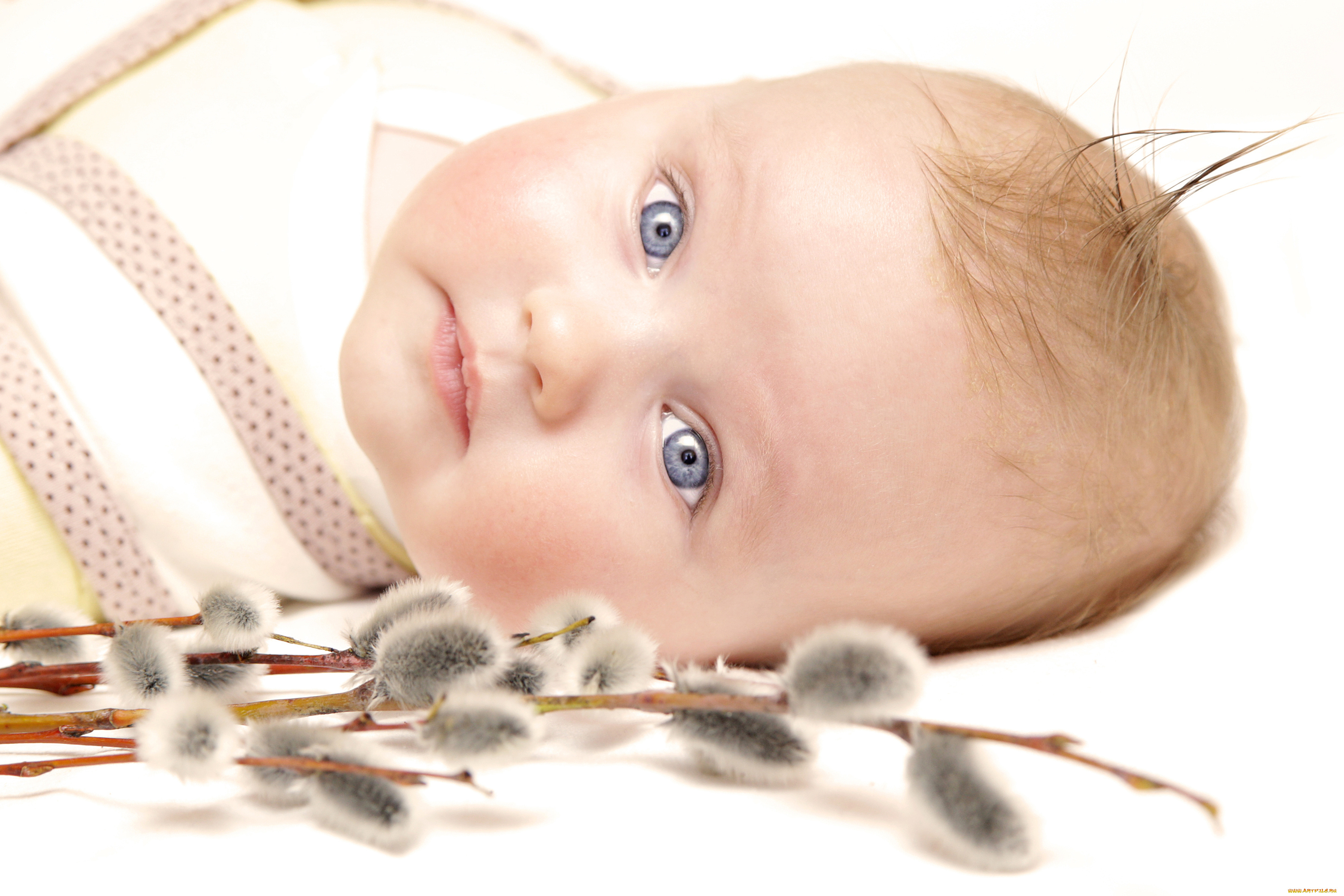 разное, дети, младенец, верба, ветки