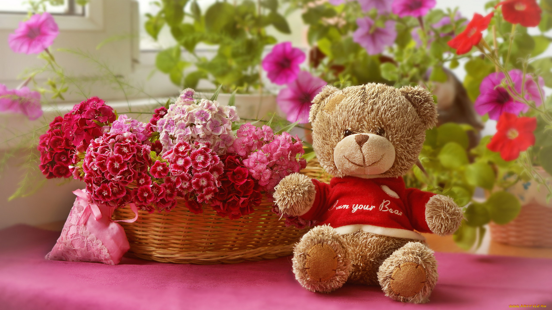 разное, игрушки, корзинка, цветы, гвоздика, медвежонок, атласное, сердце