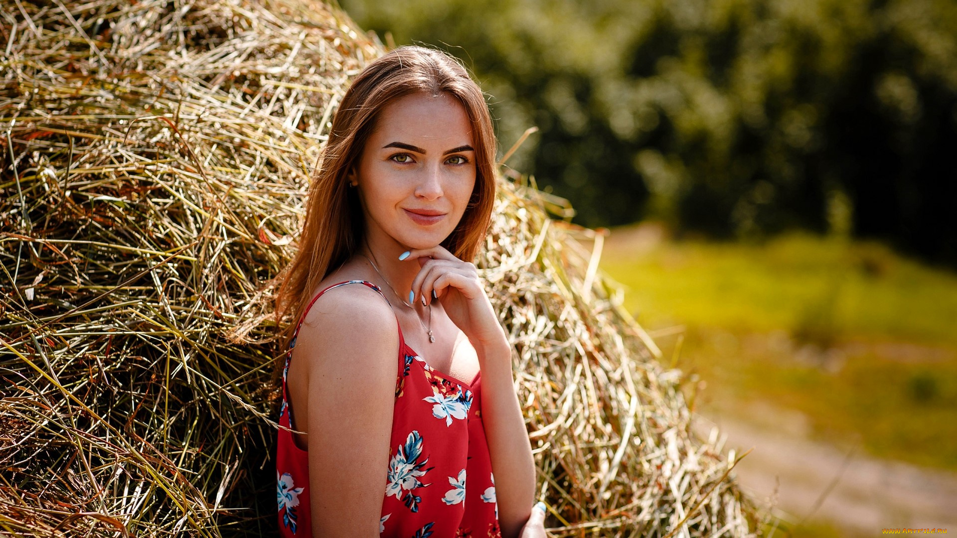 девушки, -, брюнетки, , шатенки, шатенка, сено
