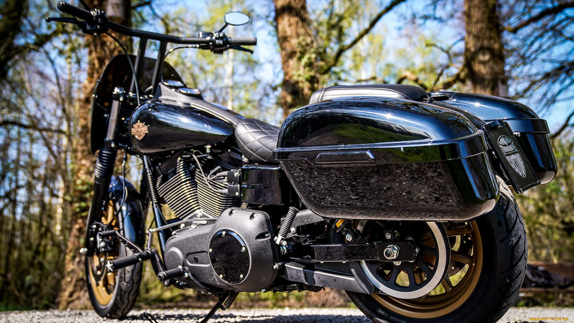 харлей, мотоциклы, harley-davidson, мотоцикл, байк, thunderbike, customs