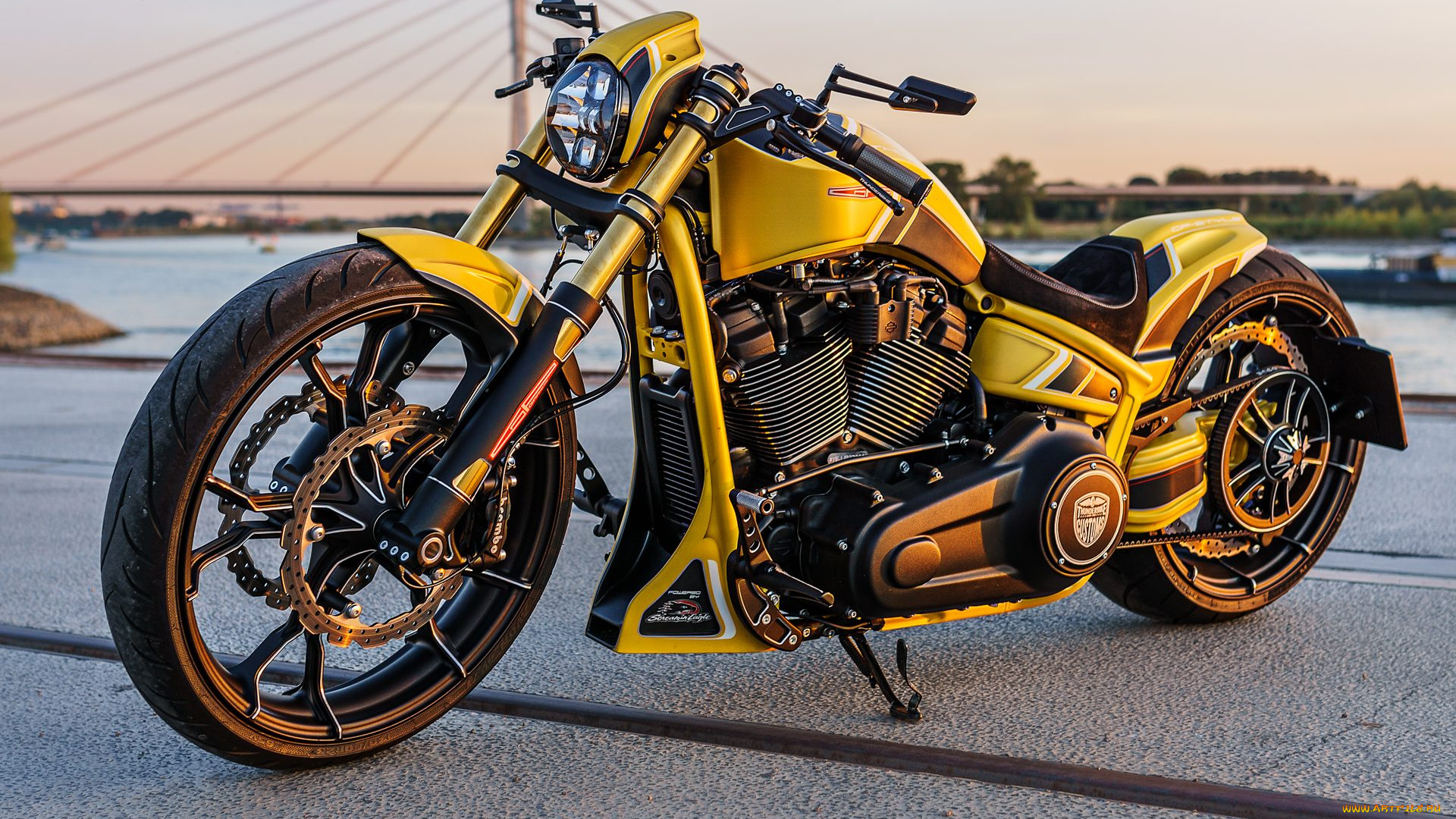 харлей, мотоциклы, harley-davidson, мотоцикл, байк, thunderbike, customs