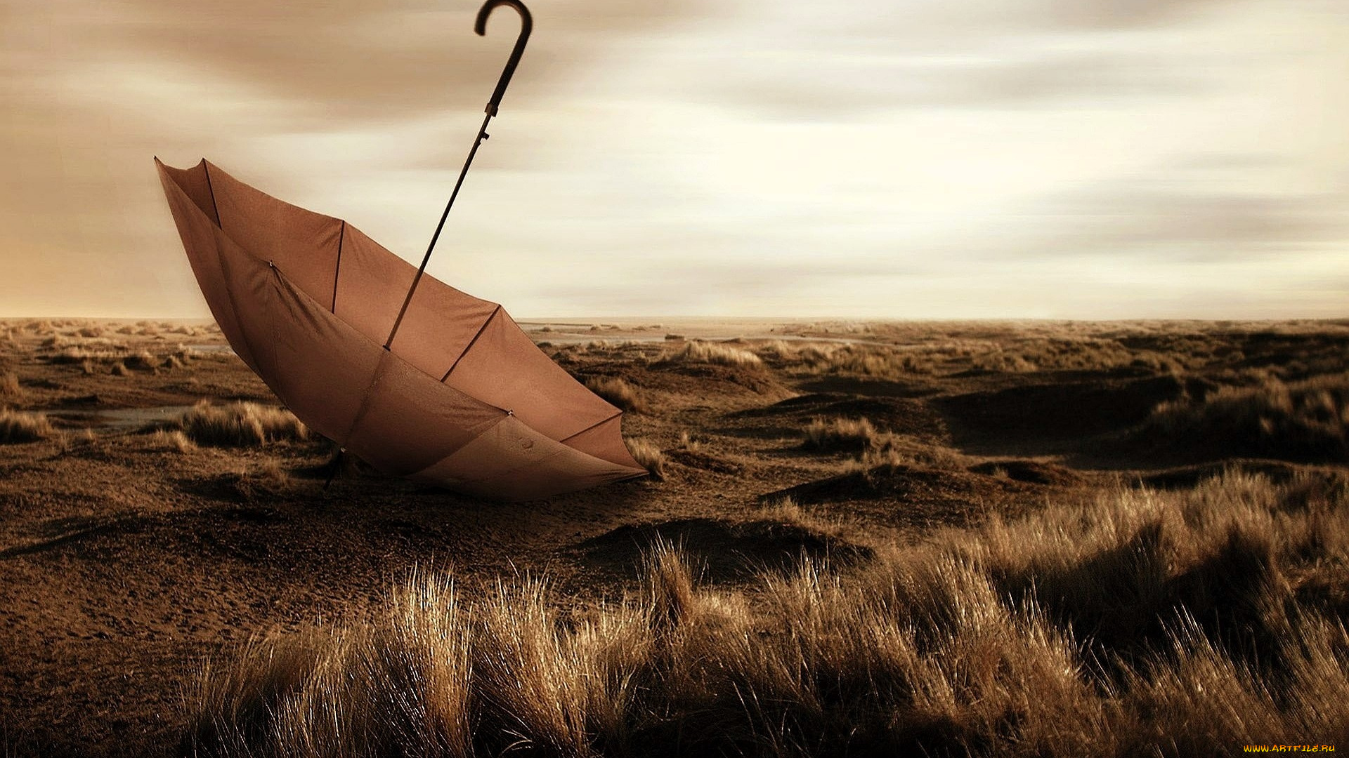 разное, сумки, , кошельки, , зонты, зонт, трава