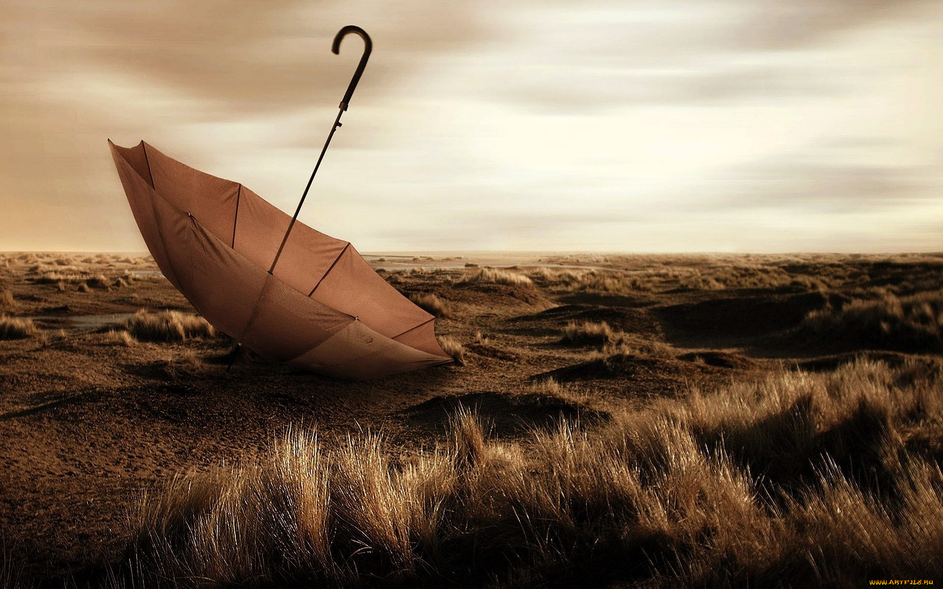 разное, сумки, , кошельки, , зонты, зонт, трава