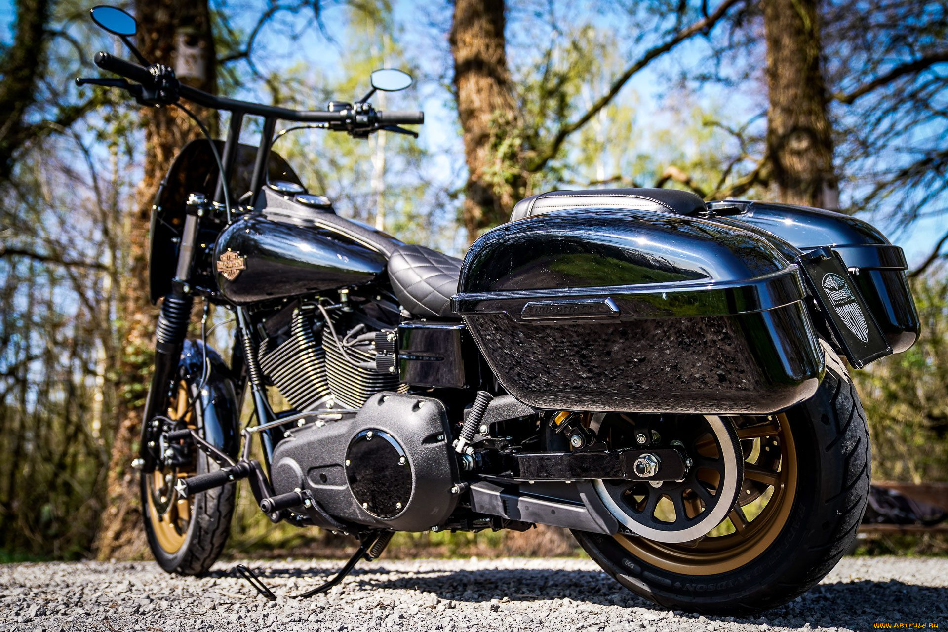 харлей, мотоциклы, harley-davidson, мотоцикл, байк, thunderbike, customs