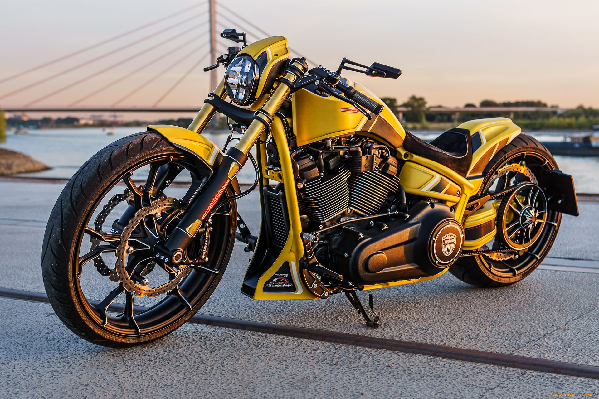 харлей, мотоциклы, harley-davidson, мотоцикл, байк, thunderbike, customs