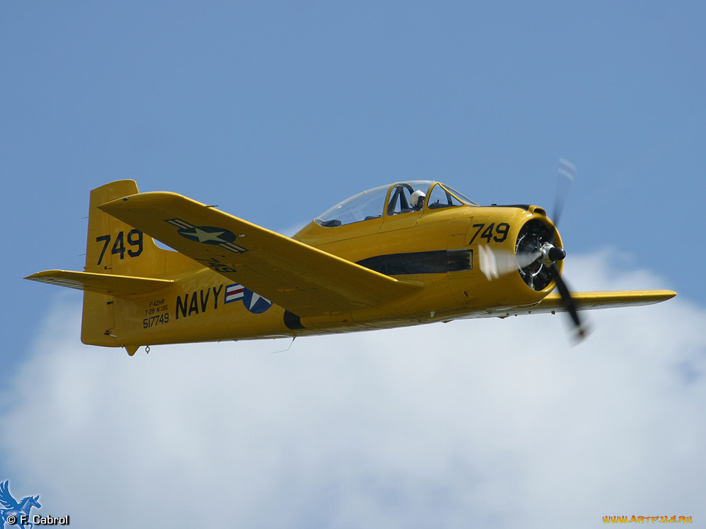 авиация, лёгкие, одномоторные, самолёты