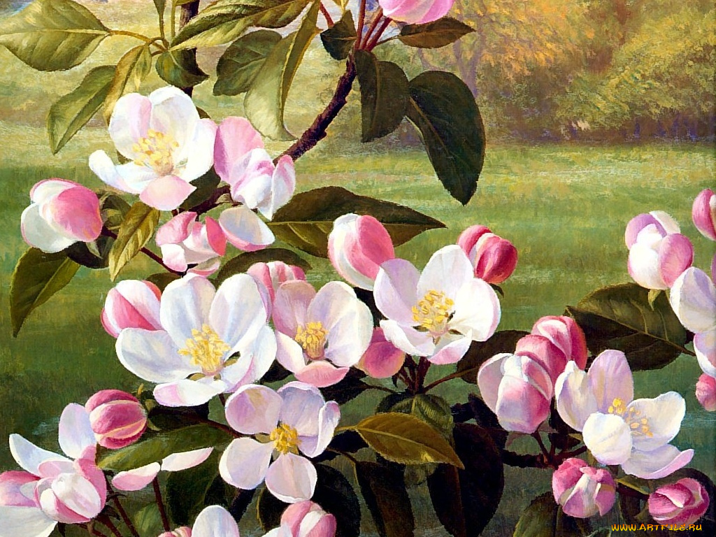 рисованные, цветы