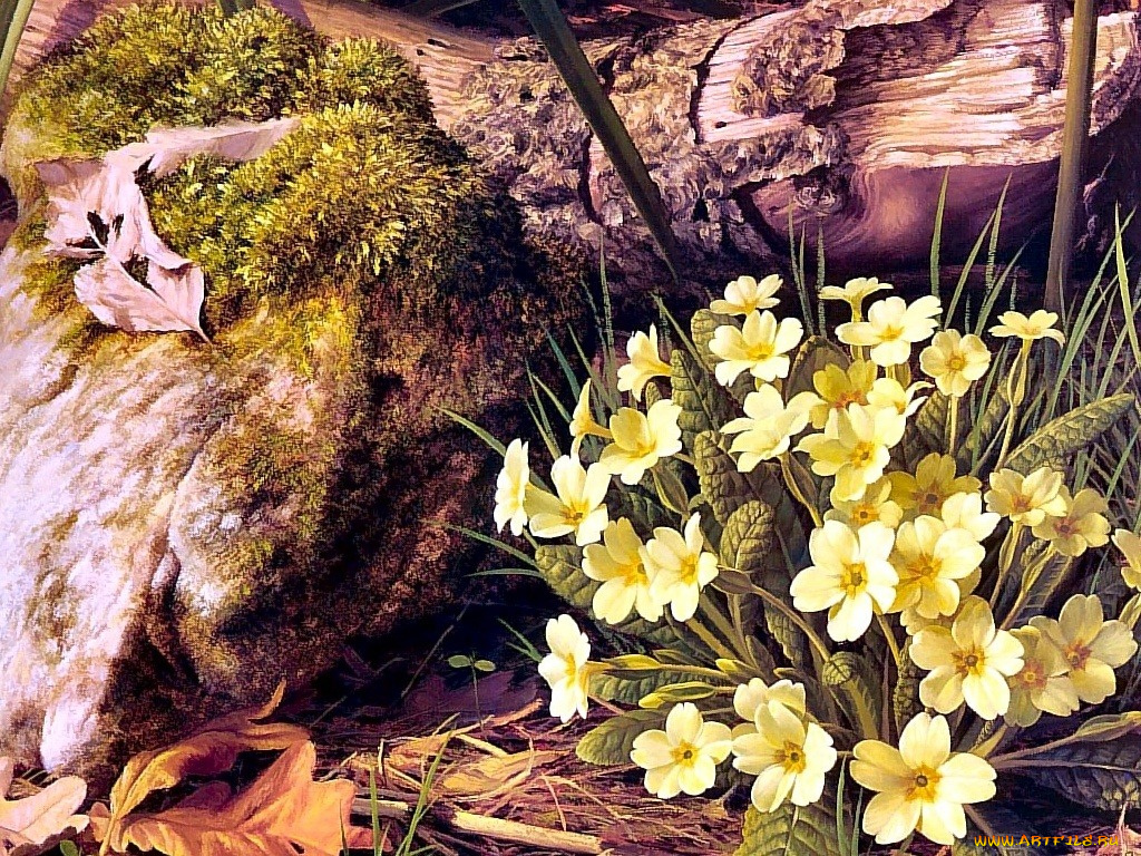 рисованные, цветы