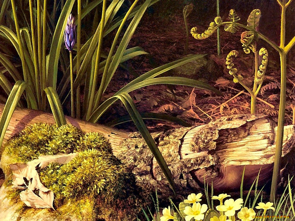 рисованные, природа