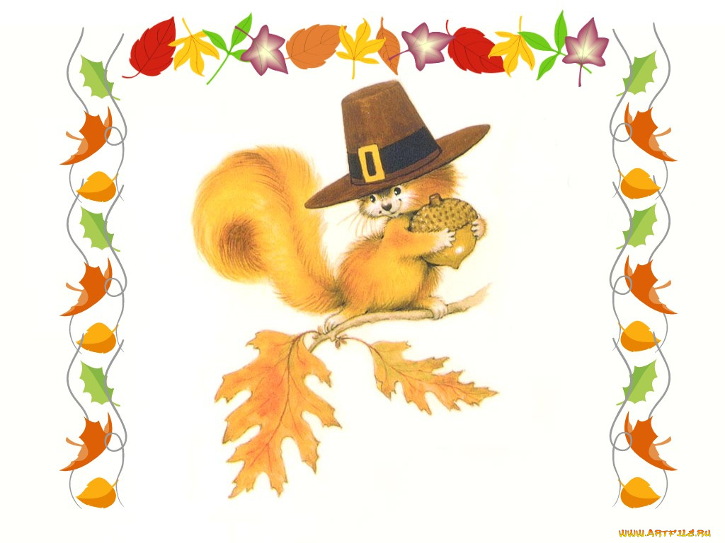 рисованные, животные, белки