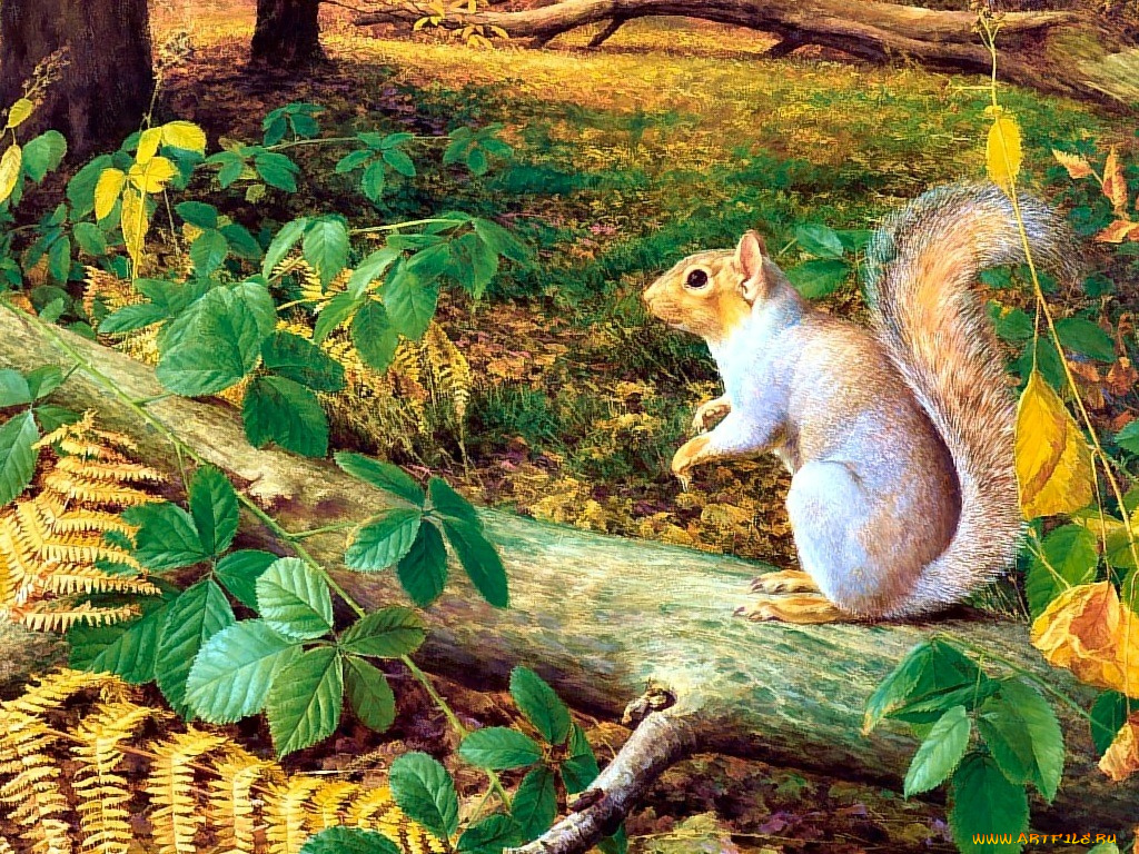 рисованные, животные, белки