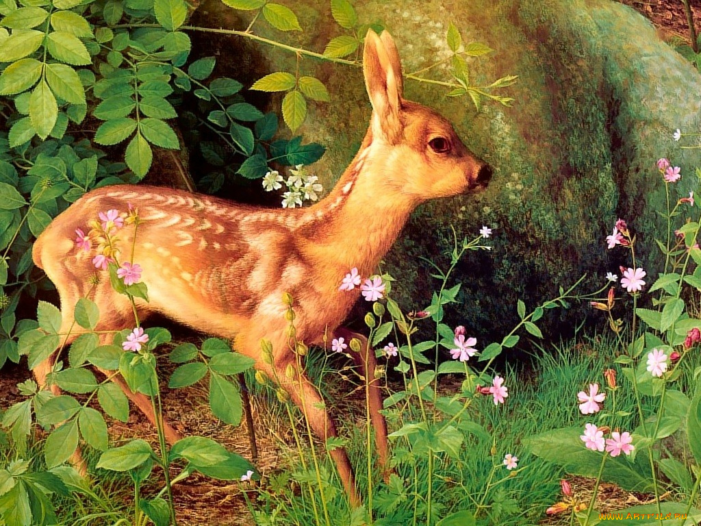 рисованные, животные, олени