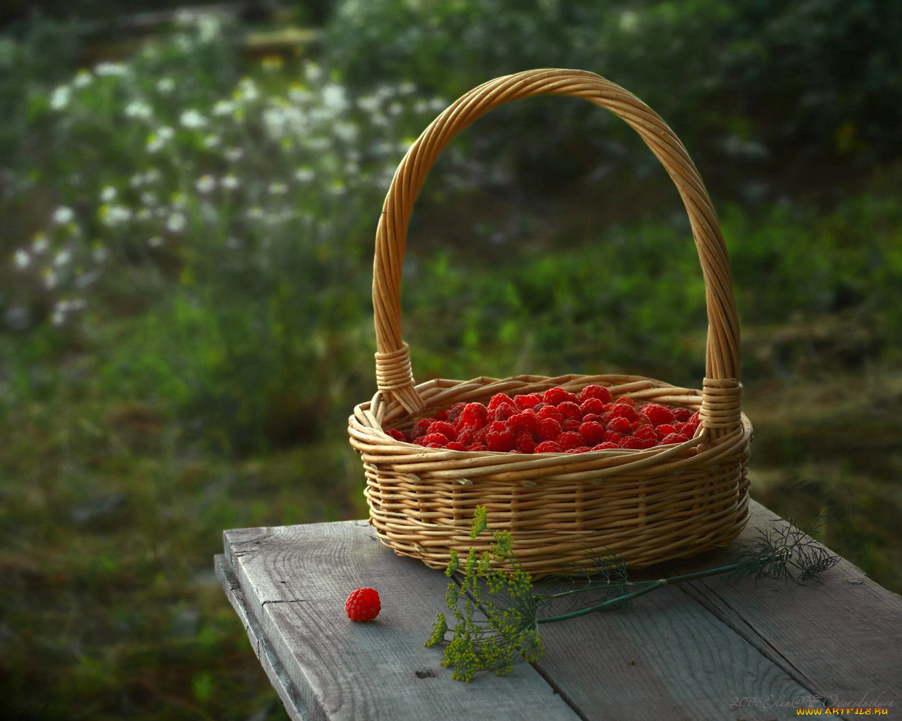 авт, elen, еда, клубника, земляника