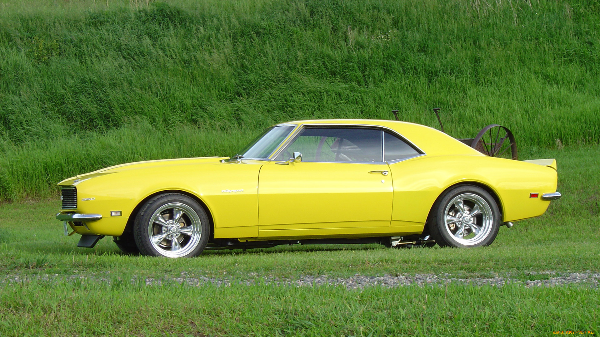 автомобили, camaro