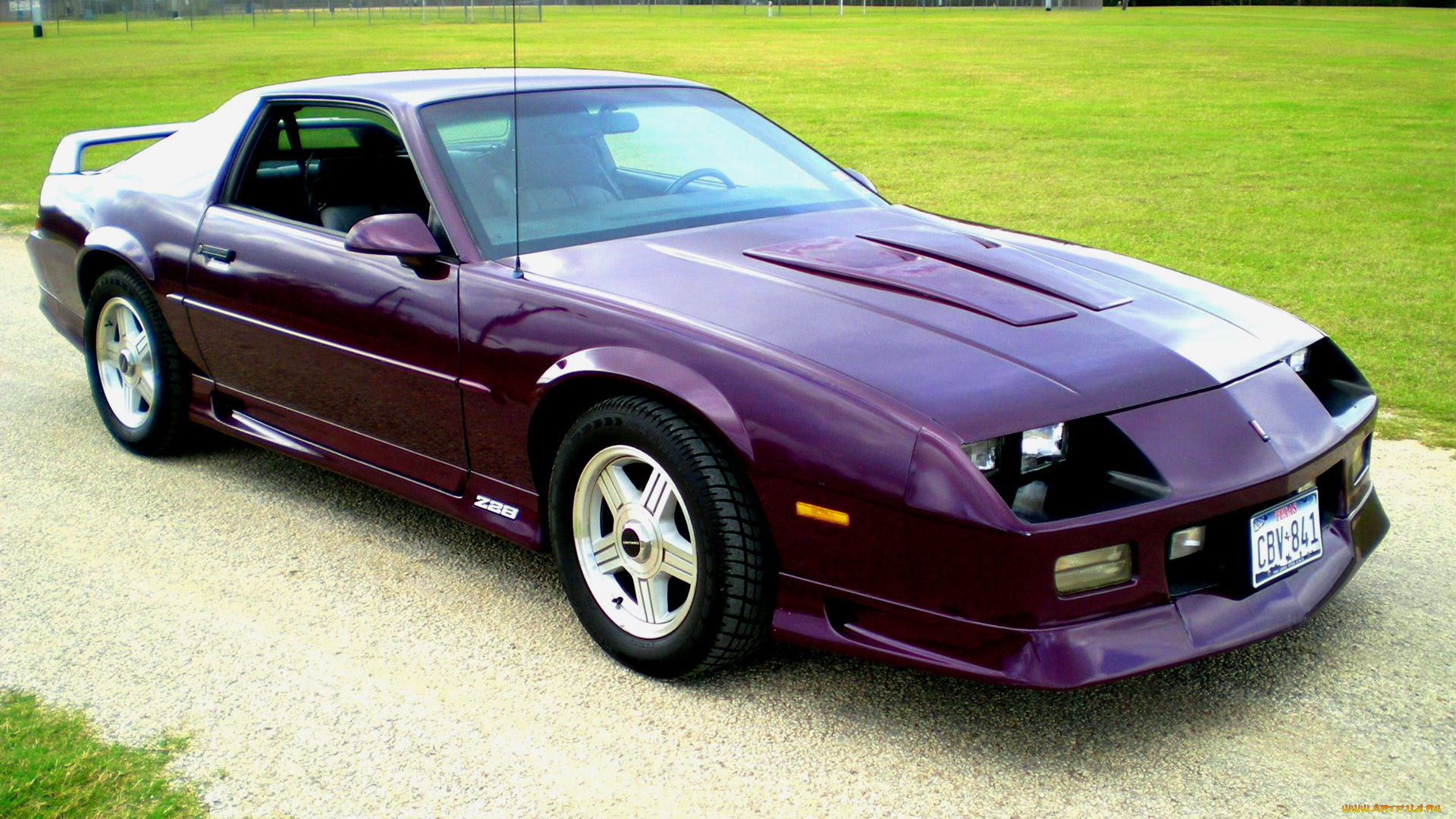 автомобили, camaro