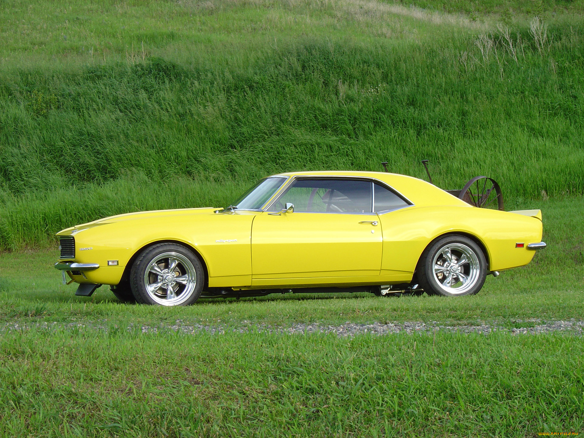 автомобили, camaro