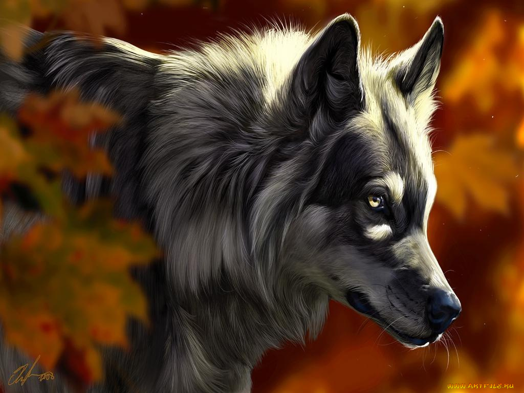 рисованные, животные