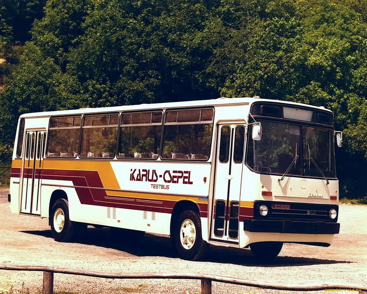 автомобили, автобусы