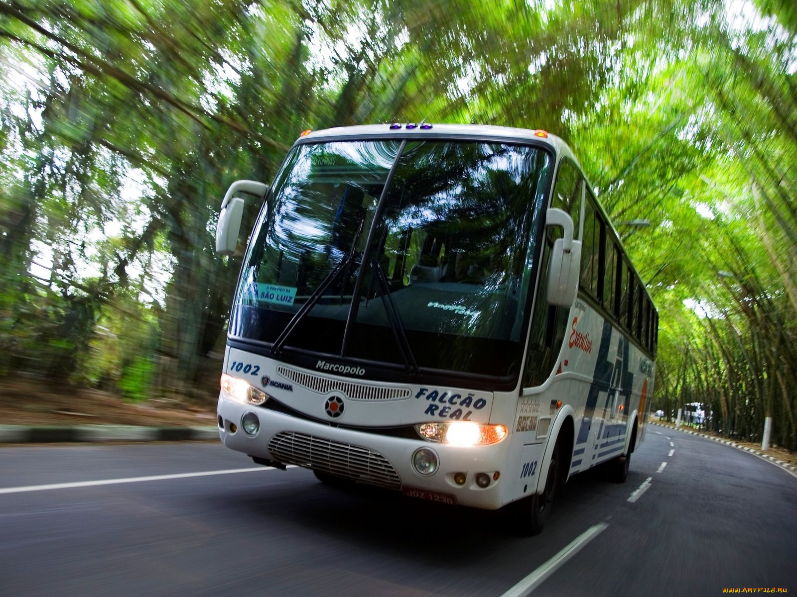 автомобили, автобусы