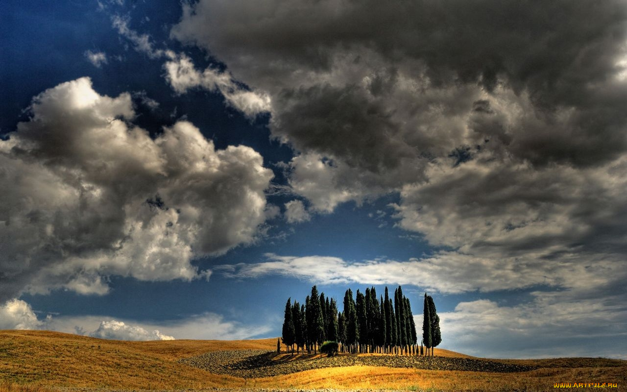 природа, деревья