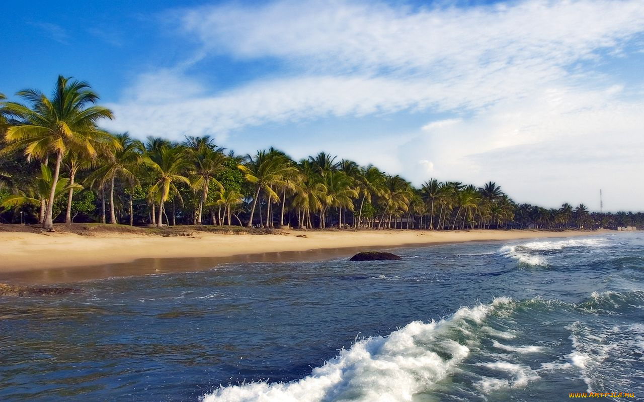 природа, тропики