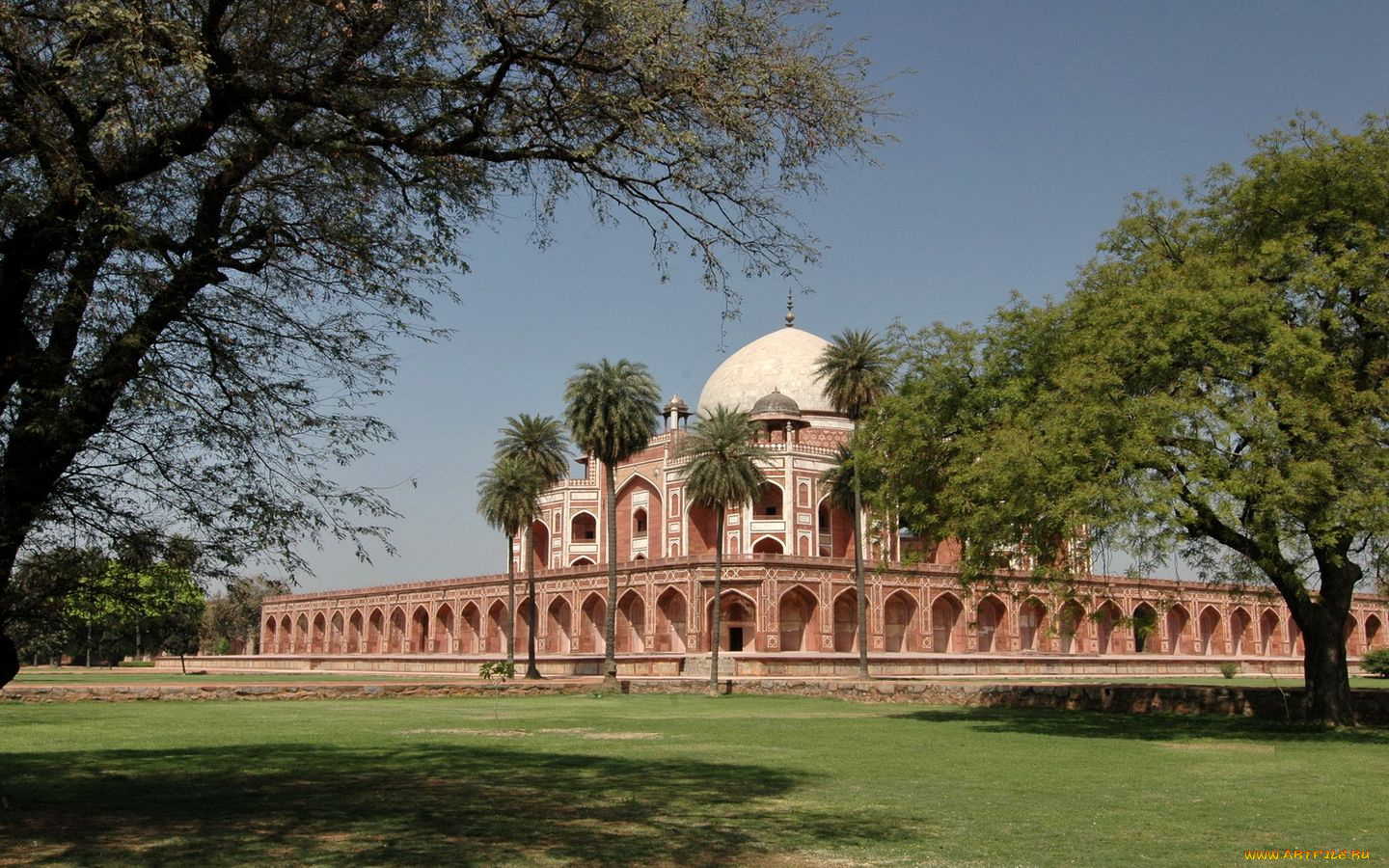 города, мечети, медресе