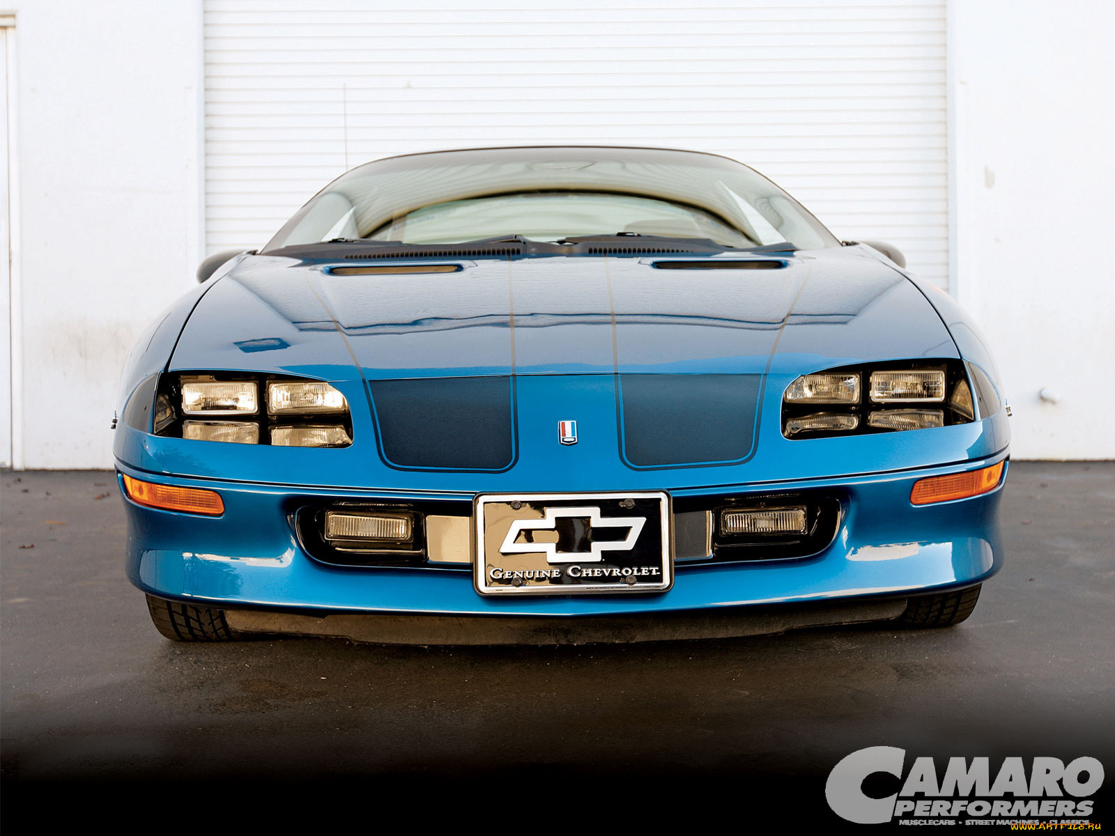 автомобили, camaro