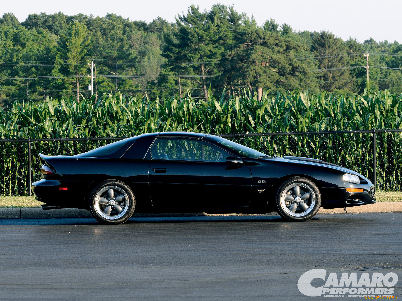 автомобили, camaro
