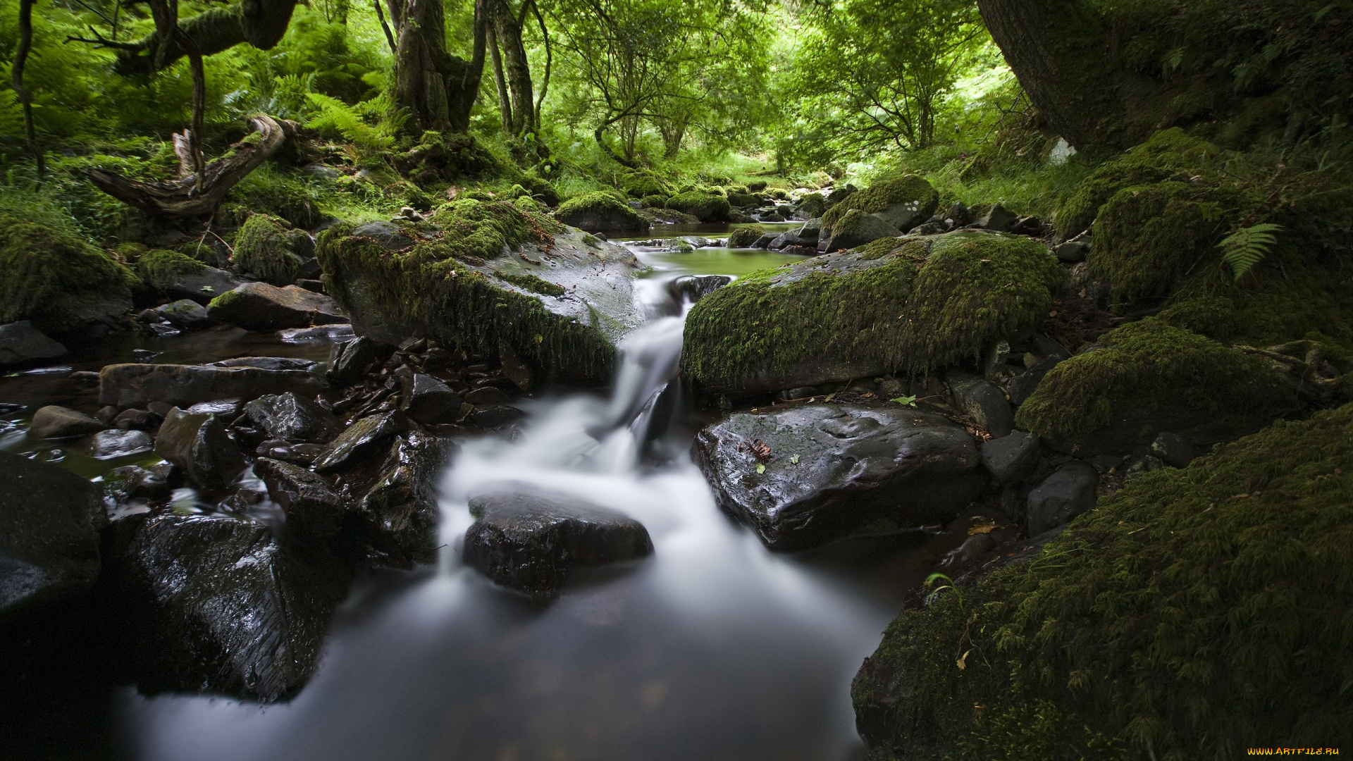 природа, реки, озера