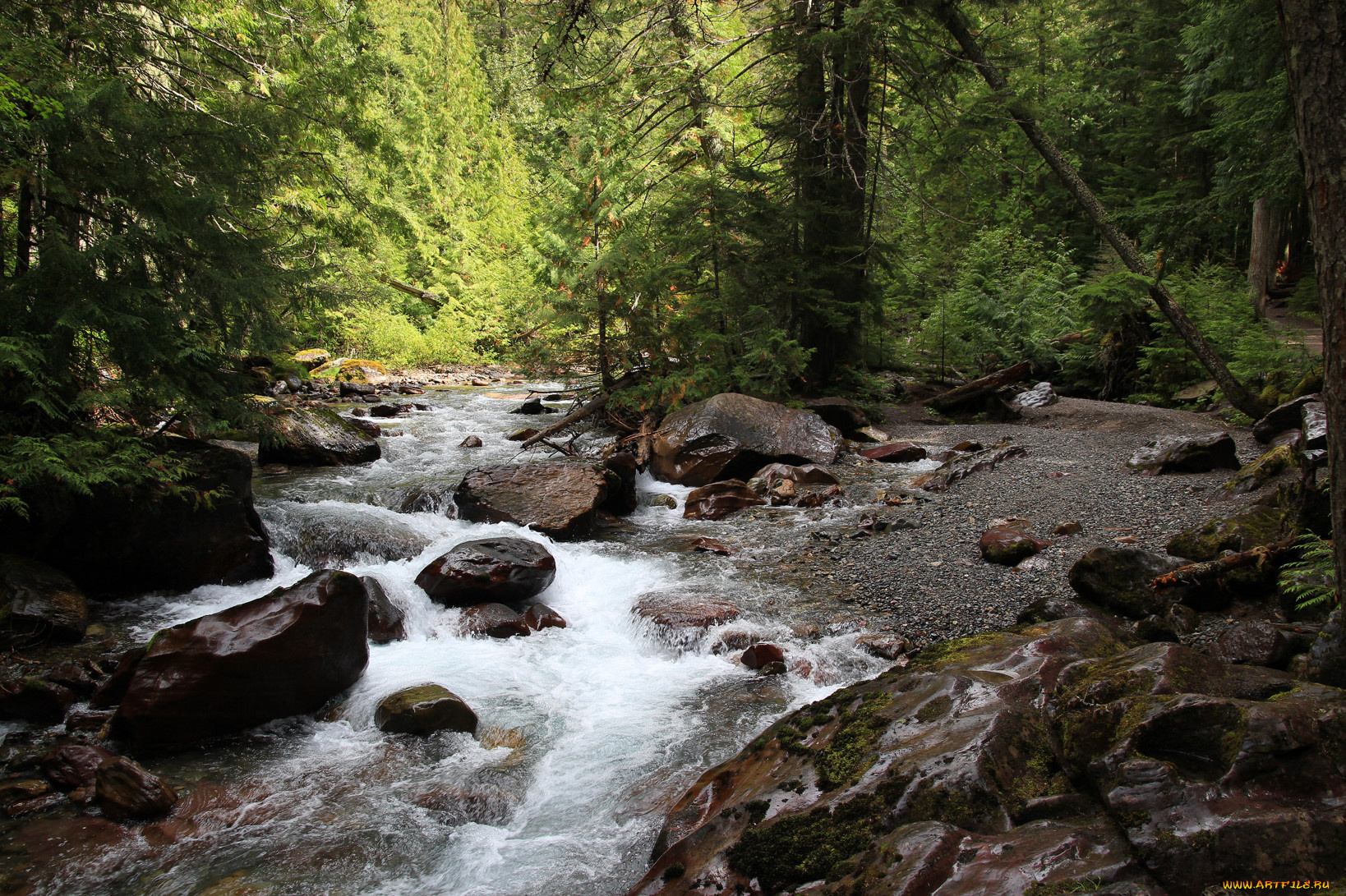 природа, реки, озера, камни, вода, лев, река