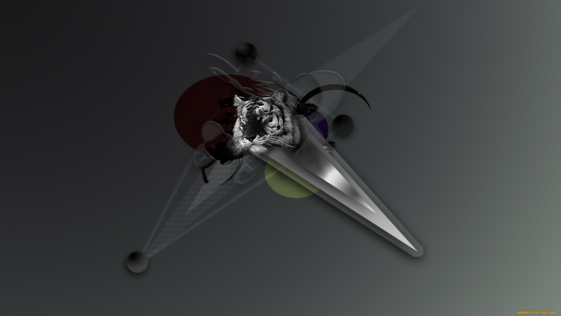 3д, графика, animals, животные, тигр